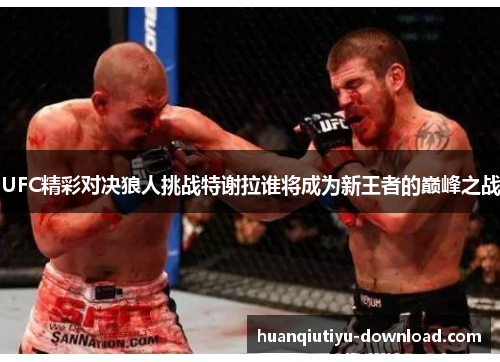 UFC精彩对决狼人挑战特谢拉谁将成为新王者的巅峰之战